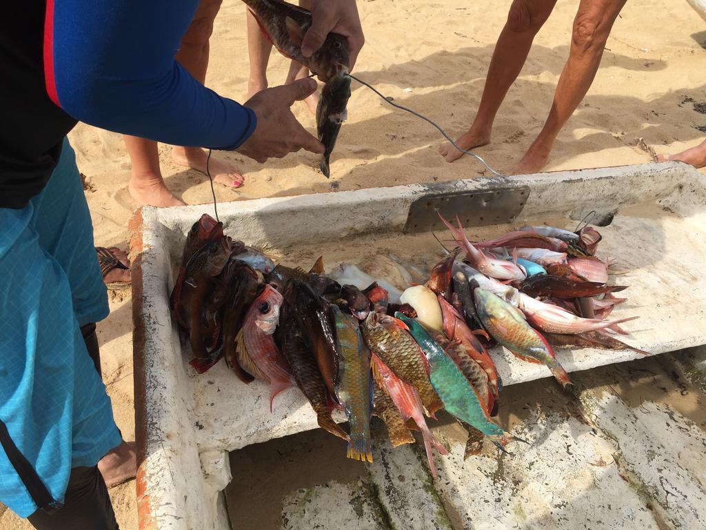 Appartamento Blu Las Terrenas Kültér fotó